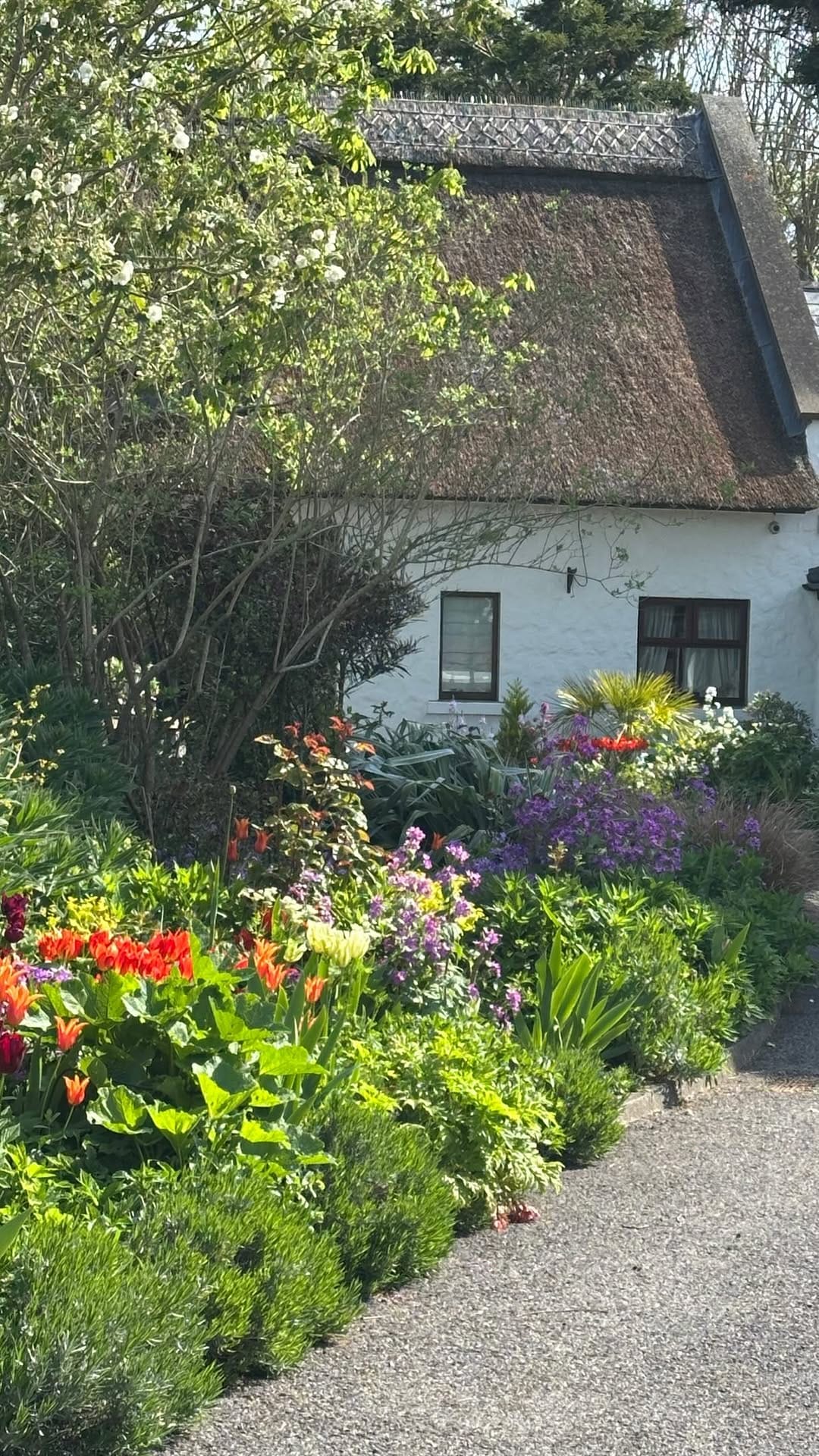 Post 7 by The Cottages Ireland on Instagram (video)