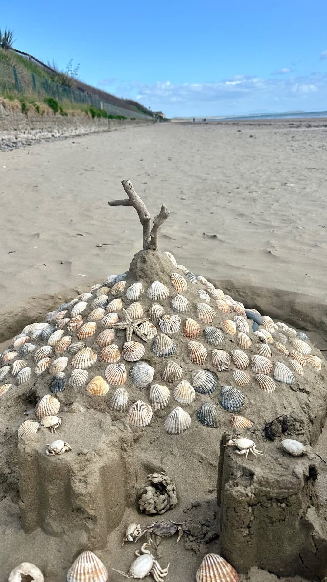 Post 5 by The Cottages Ireland on Instagram (video)
