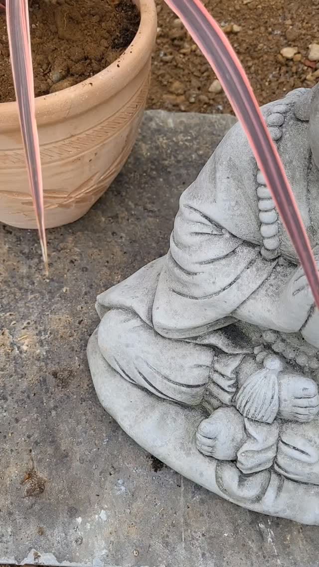 Post 5 by Pennybrook Farm - Welsh Reno on Instagram (video)
