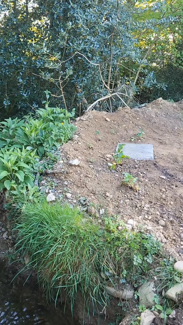 Post 6 by Pennybrook Farm - Welsh Reno on Instagram (video)