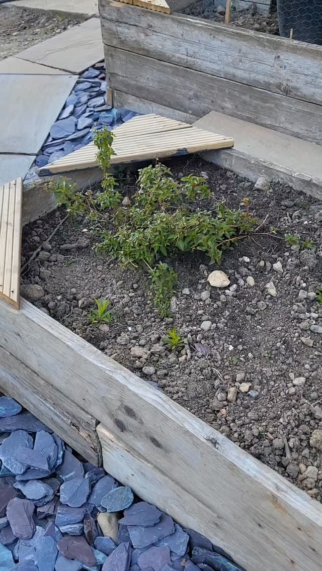 Post 2 by Pennybrook Farm - Welsh Reno on Instagram (video)