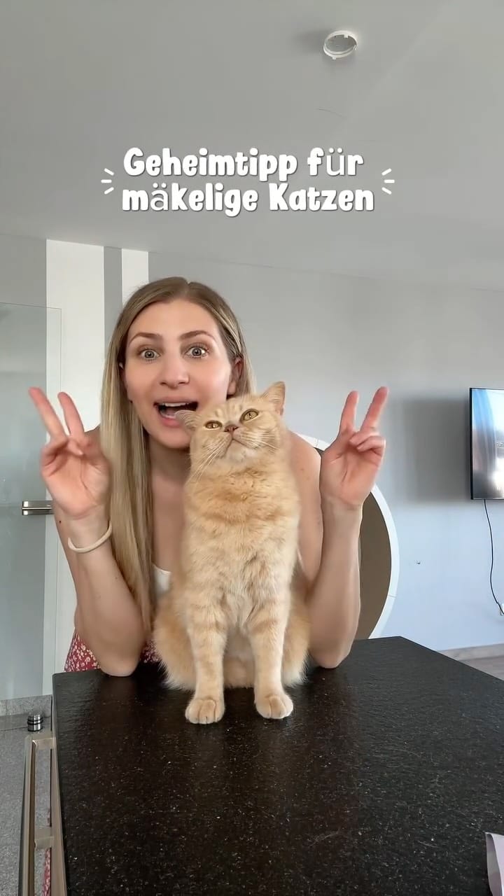 Post 1 by Natalie mit Toffee & Georgie on Instagram (video)