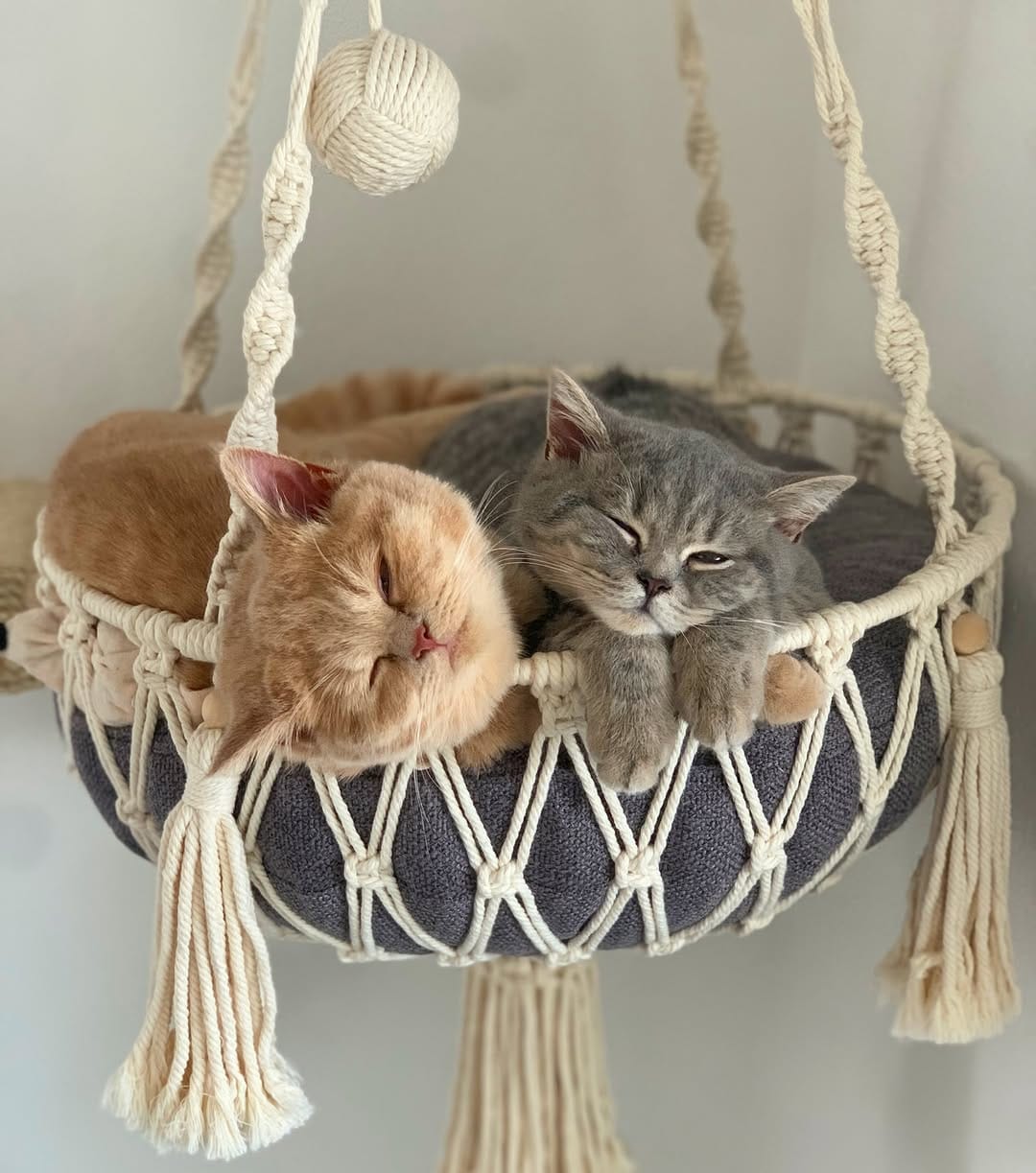 Post 9 by Natalie mit Toffee & Georgie on Instagram (carousel)