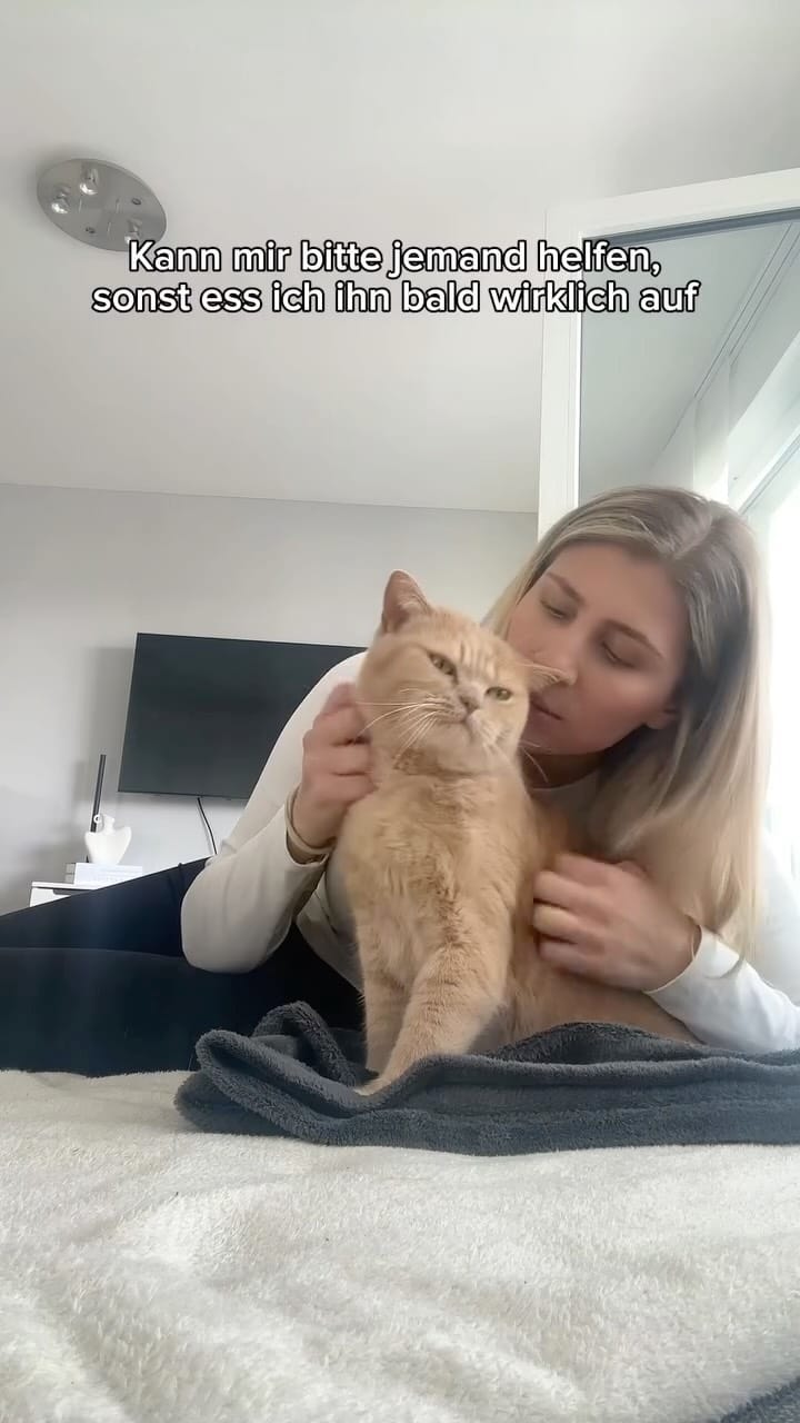 Post 8 by Natalie mit Toffee & Georgie on Instagram (video)