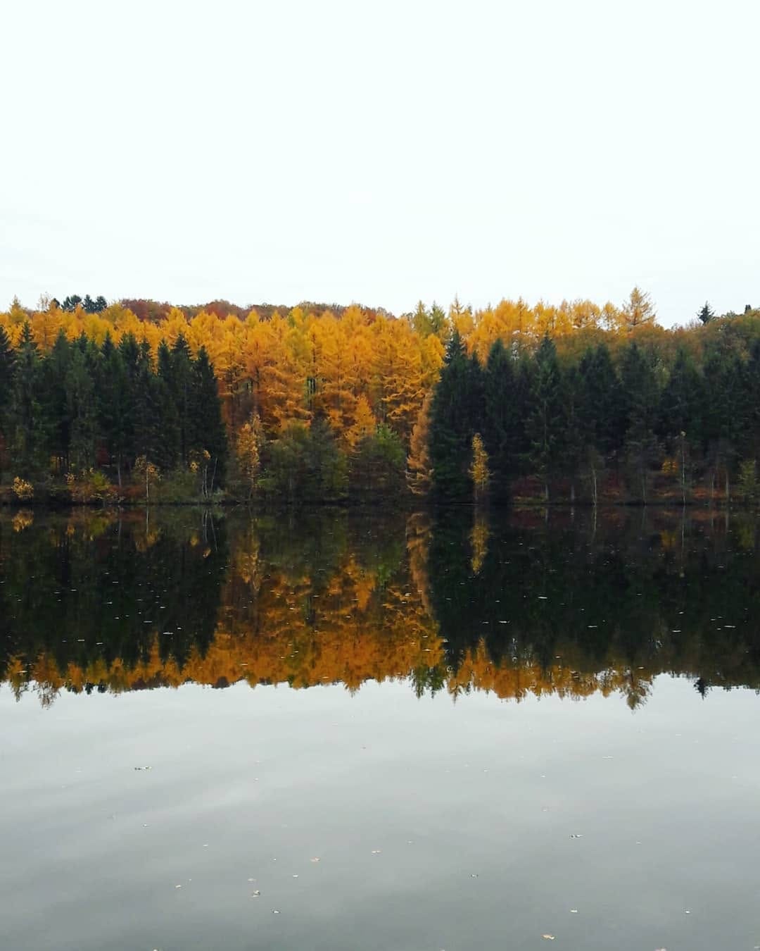 Post 8 by Kölsche Jung on Instagram (image)
