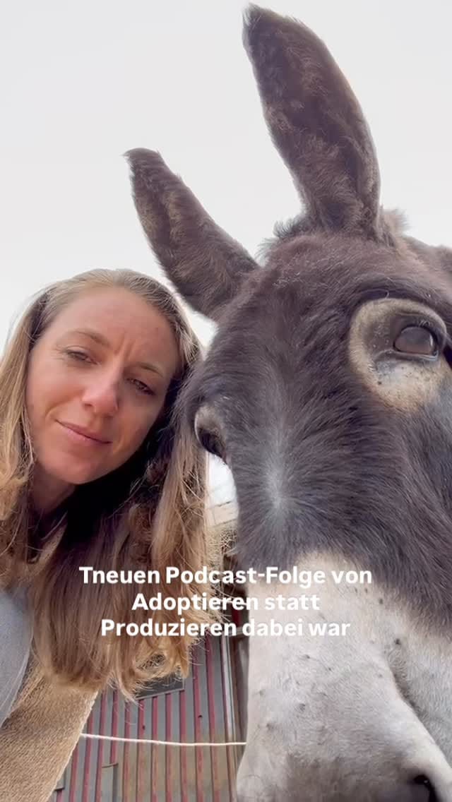 Post 5 by Dorf Sentana on Instagram (video)