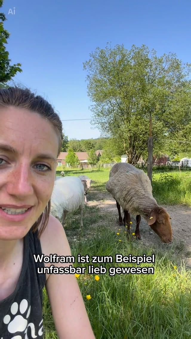 Post 1 by Dorf Sentana on Instagram (video)