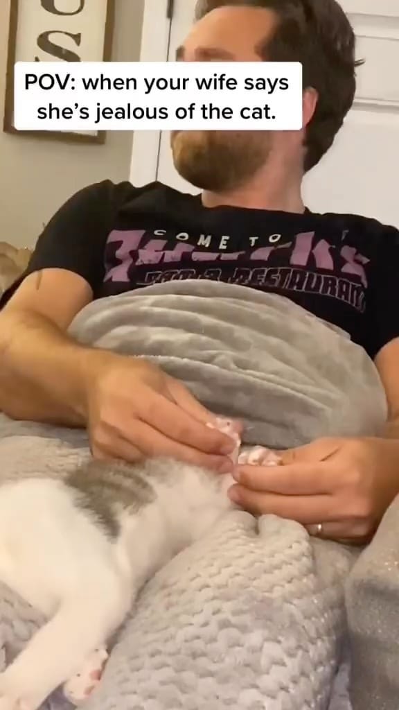 Post 6 by Cats | Pets | Kittens on Instagram (video)