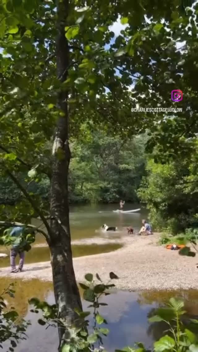 Post 3 by Charlie’s Cottage | Hosted by Rachel on Instagram (video)