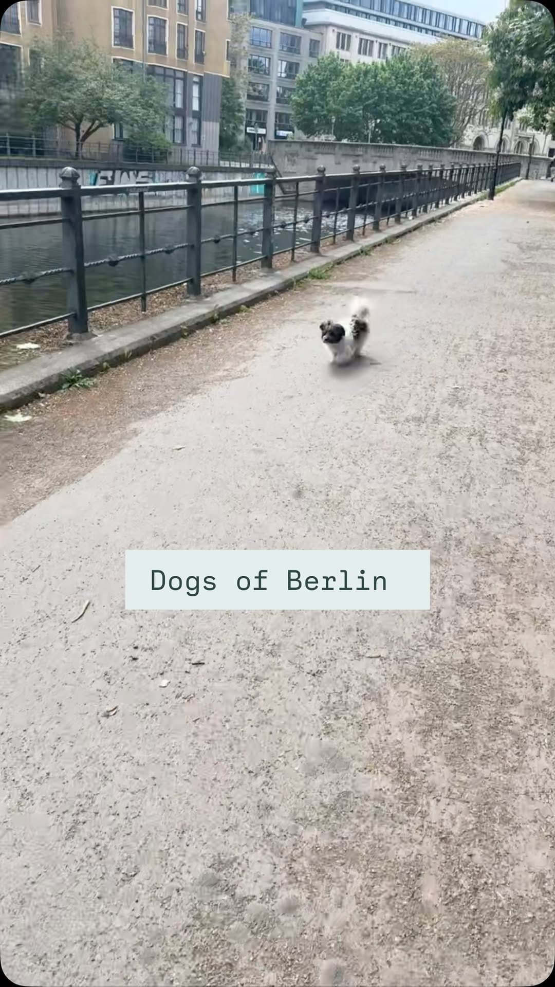 Post 3 by OttovonBerlin on Instagram (video)