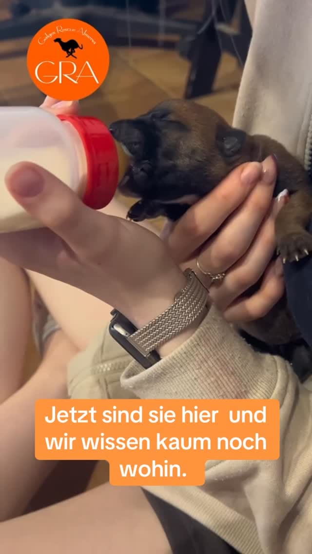 Post 1 by by Antje on Instagram (video)