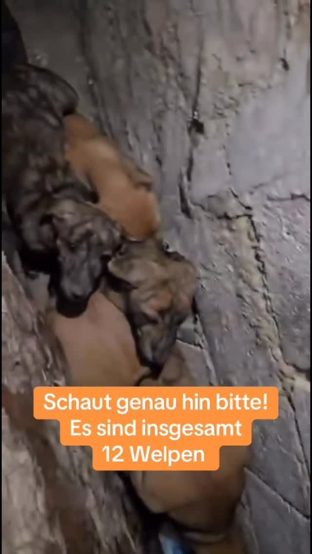 Post 4 by by Antje on Instagram (video)