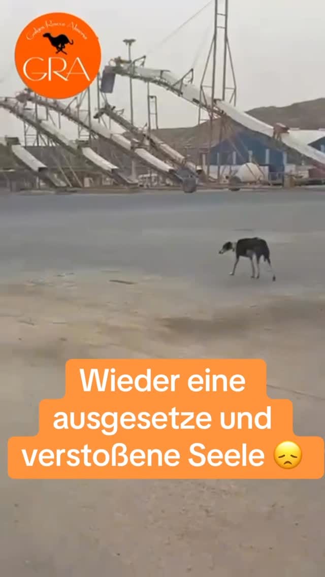 Post 3 by by Antje on Instagram (video)