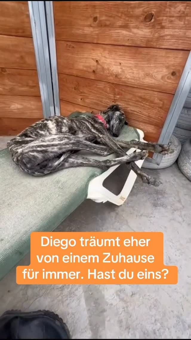 Post 6 by by Antje on Instagram (video)