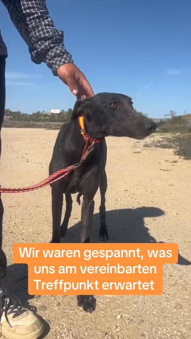 Post 2 by by Antje on Instagram (video)