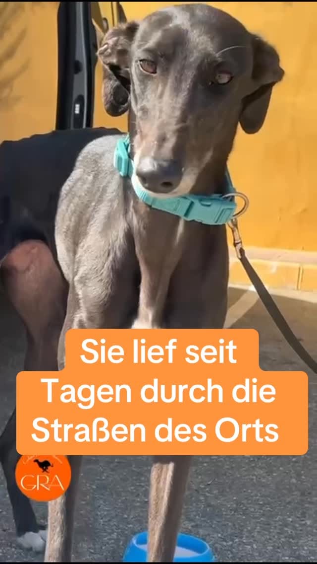 Post 8 by by Antje on Instagram (video)