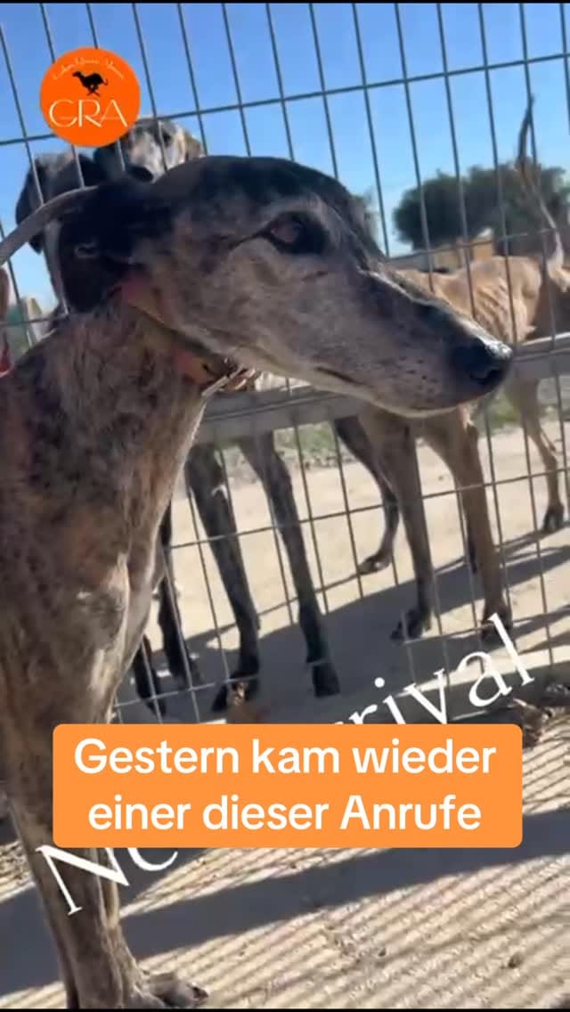 Post 9 by by Antje on Instagram (video)