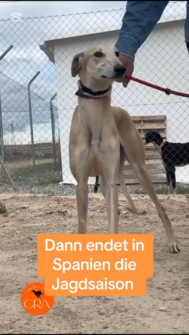 Post 10 by by Antje on Instagram (video)