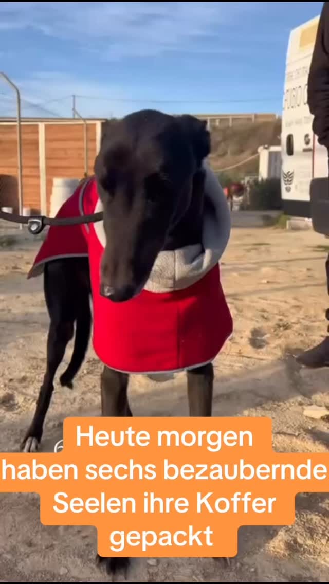 Post 7 by by Antje on Instagram (video)