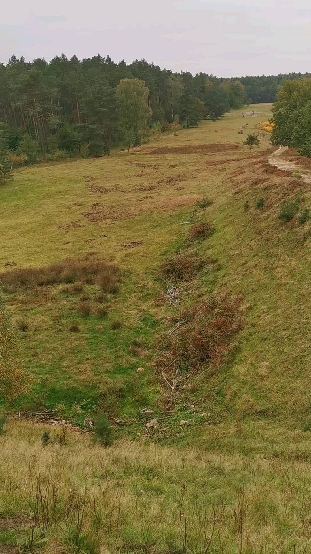 Post 7 by Maria F. on Instagram (video)