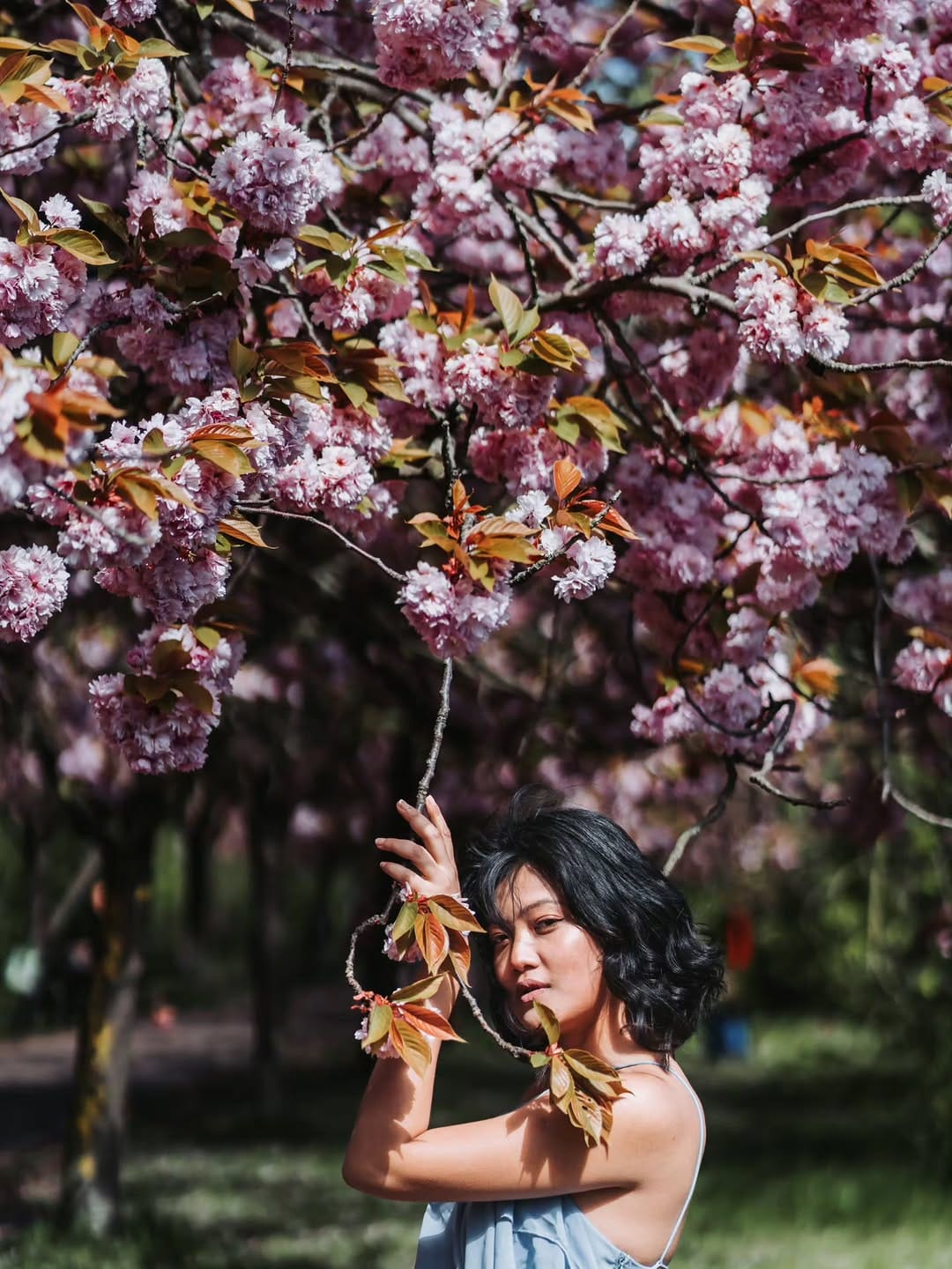 Post 3 by Bristi Dewan on Instagram (carousel)