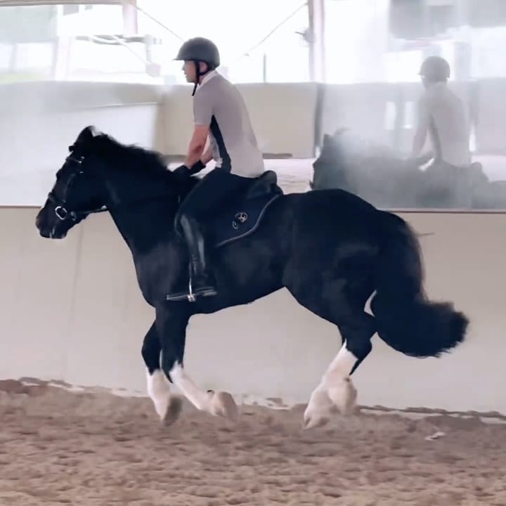 Post 8 by Thomas Ma on Instagram (video)