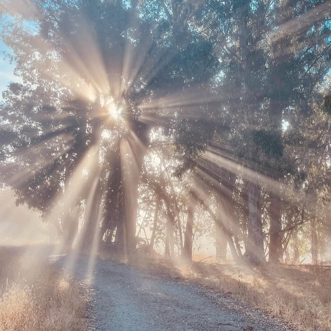 Post 7 by Thomas Ma on Instagram (image)