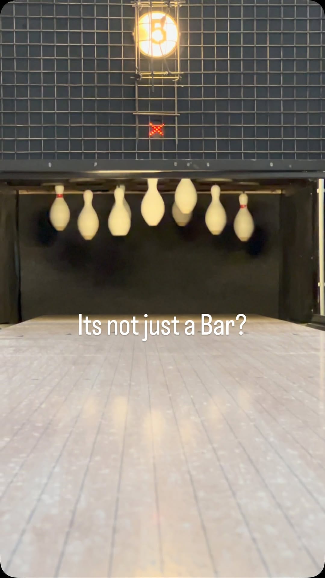 Post 9 by DogTap Berlin on Instagram (video)