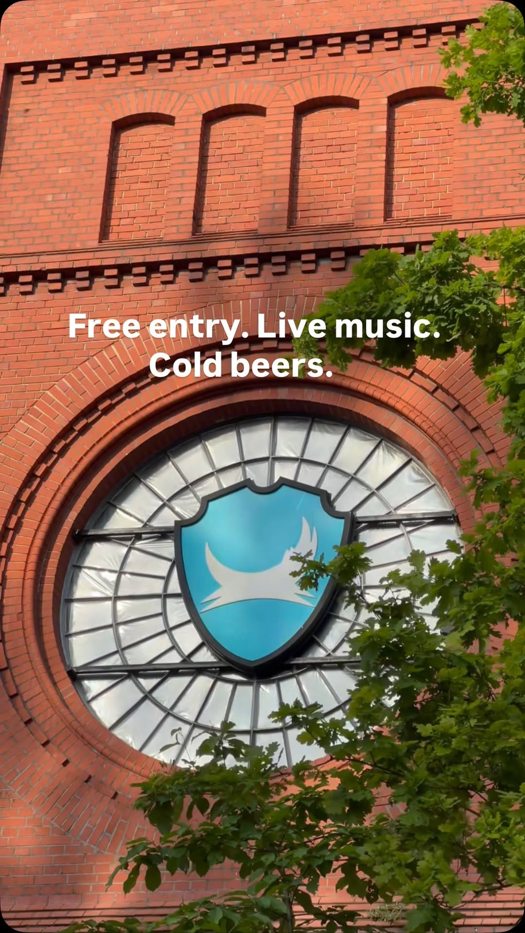 Post 2 by DogTap Berlin on Instagram (video)