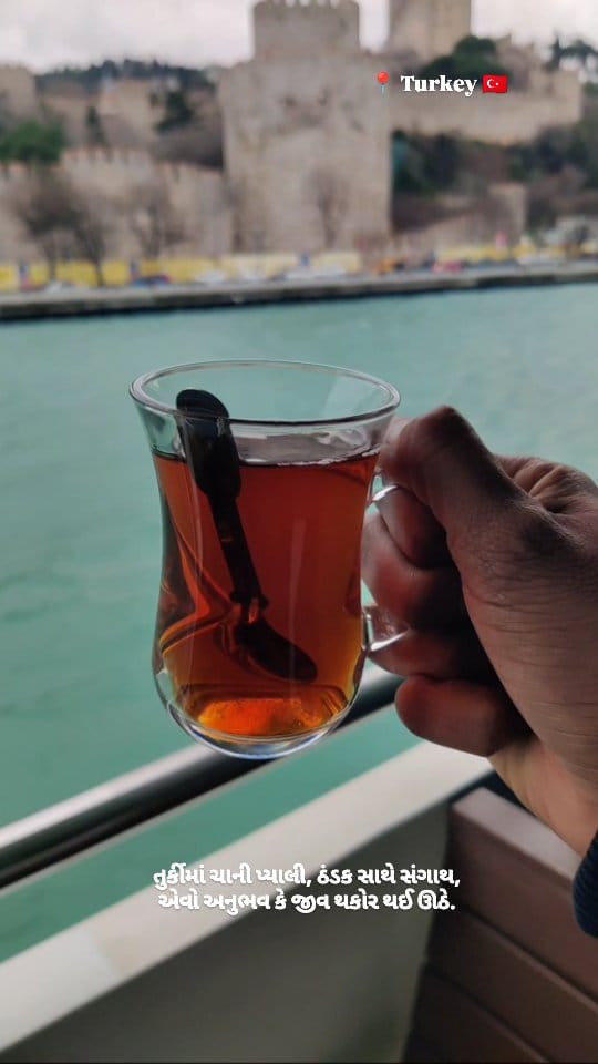 Post 3 by Gujju in Germany 🇩🇪 on Instagram (video)