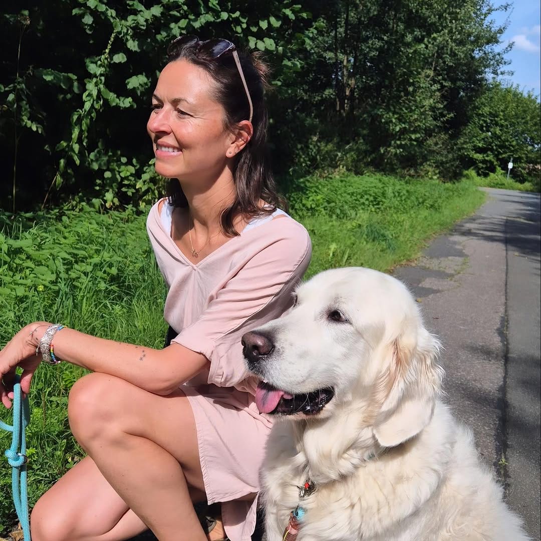 Post 1 by Cello ♡ Golden Retriever on Instagram (image)