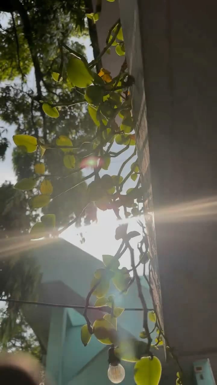 Post 4 by German BrezelHaus on Instagram (video)