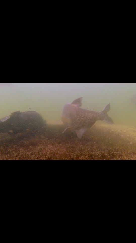 Post 6 by Matthias Emmrich on Instagram (video)