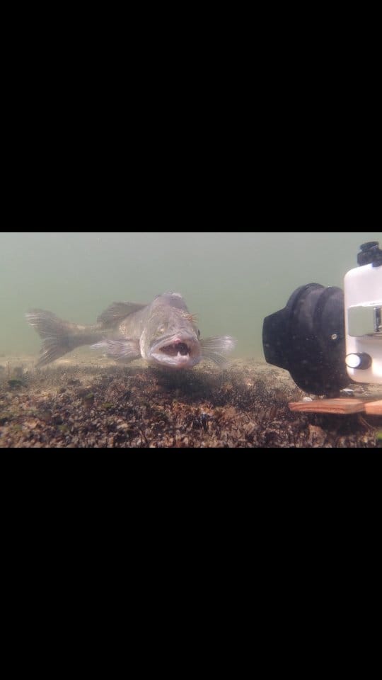 Post 3 by Matthias Emmrich on Instagram (video)
