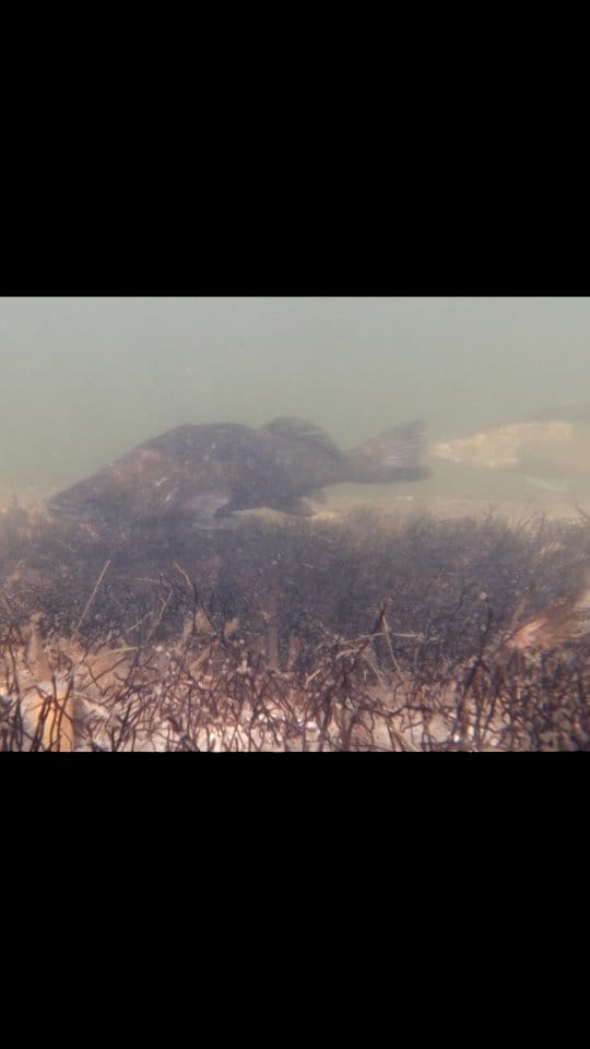 Post 8 by Matthias Emmrich on Instagram (video)