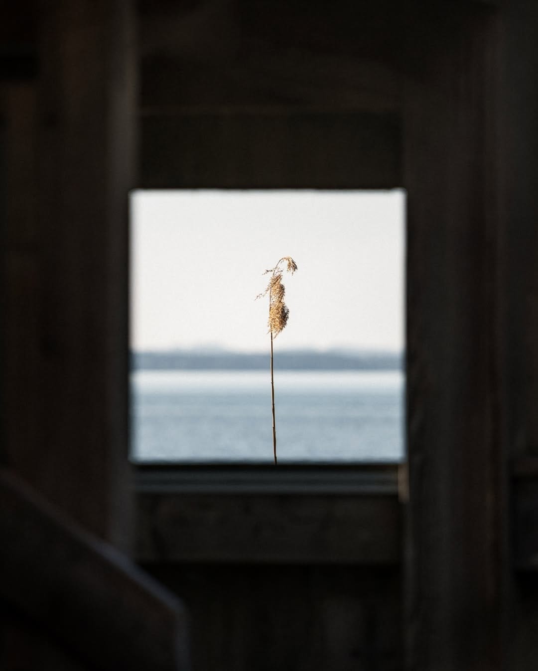 Post 4 by Reiner Hofer on Instagram (carousel)