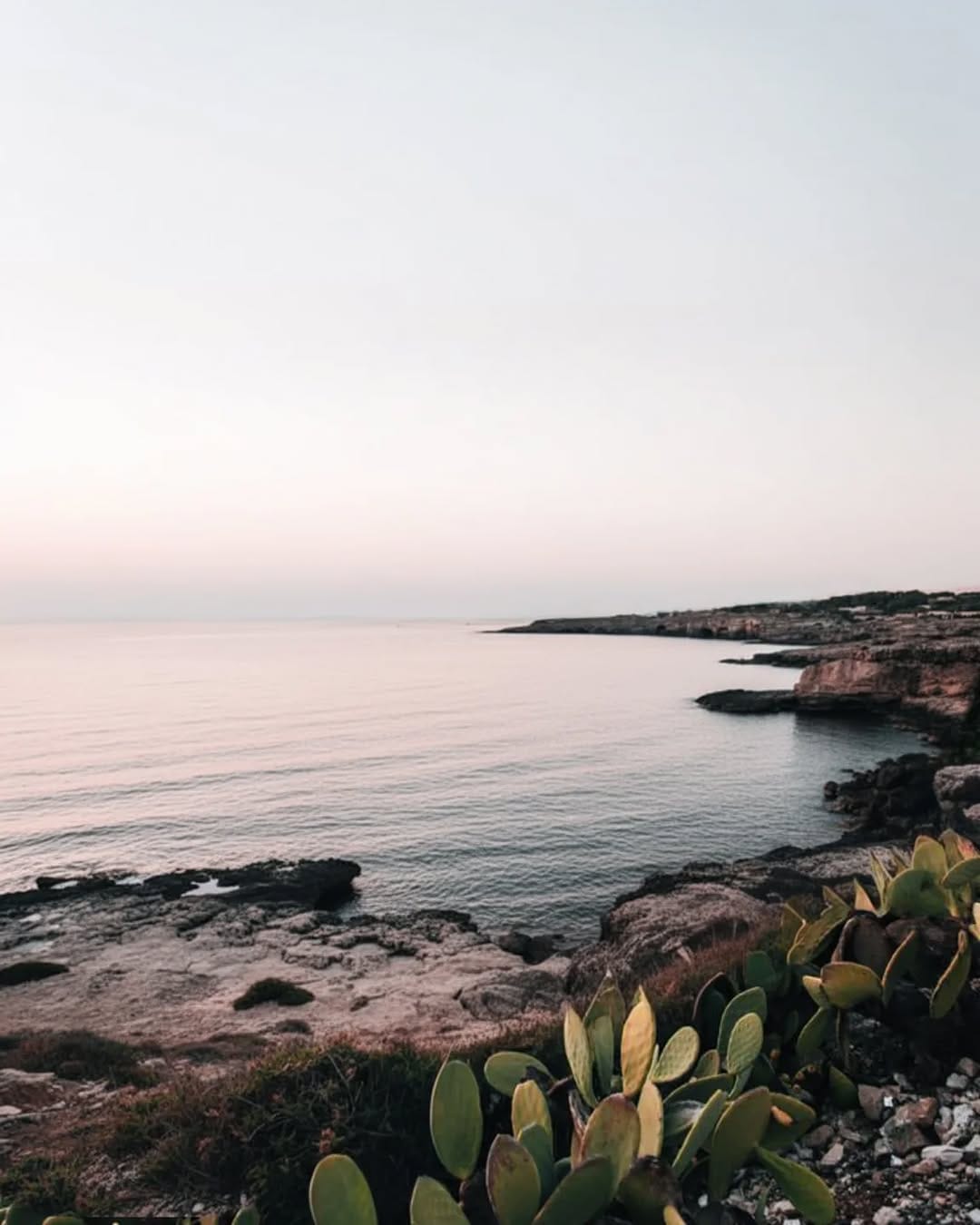 Post 1 by Anna | the Art of Light and Shadow on Instagram (image)