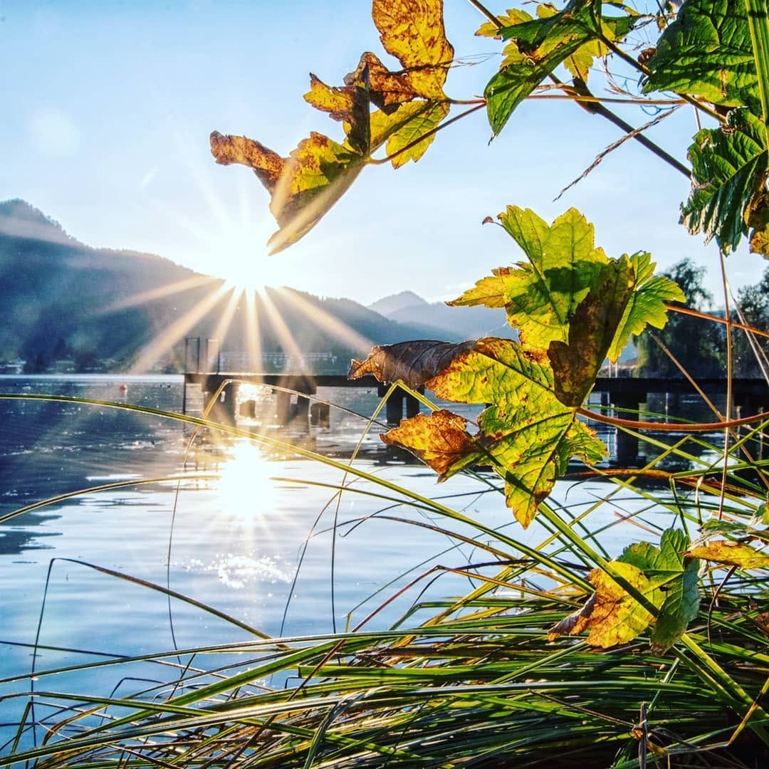 Post 8 by MEIN TEGERNSEE on Instagram (image)