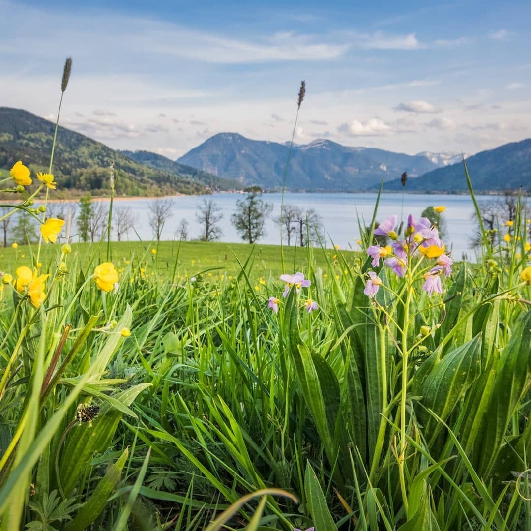 Post 10 by MEIN TEGERNSEE on Instagram (image)