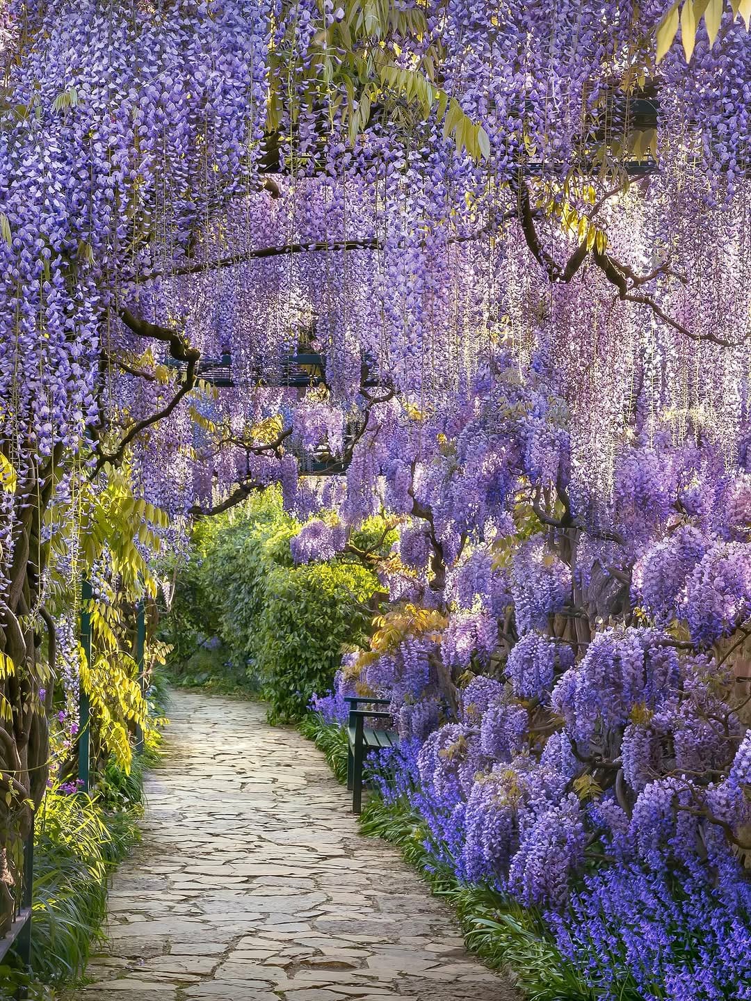 Post 6 by Claudia Gaupp   |   Garden Photographer on Instagram (carousel)
