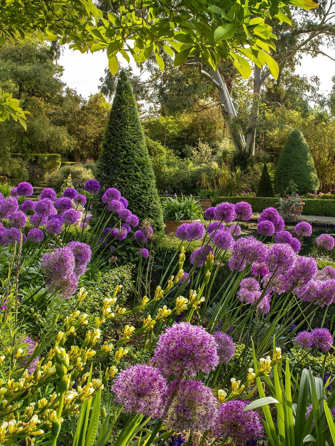 Post 2 by Claudia Gaupp   |   Garden Photographer on Instagram (carousel)