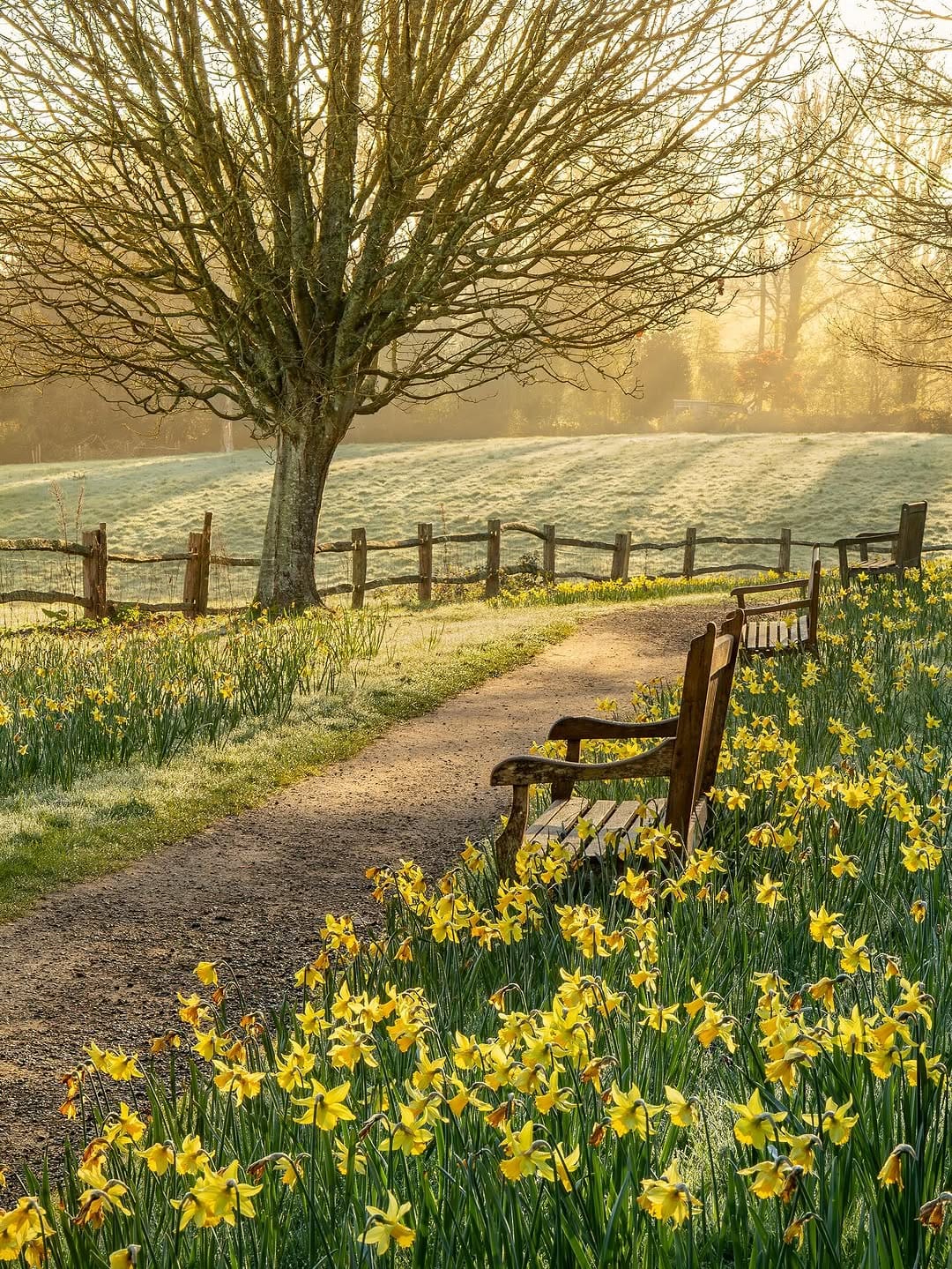 Post 8 by Claudia Gaupp   |   Garden Photographer on Instagram (carousel)
