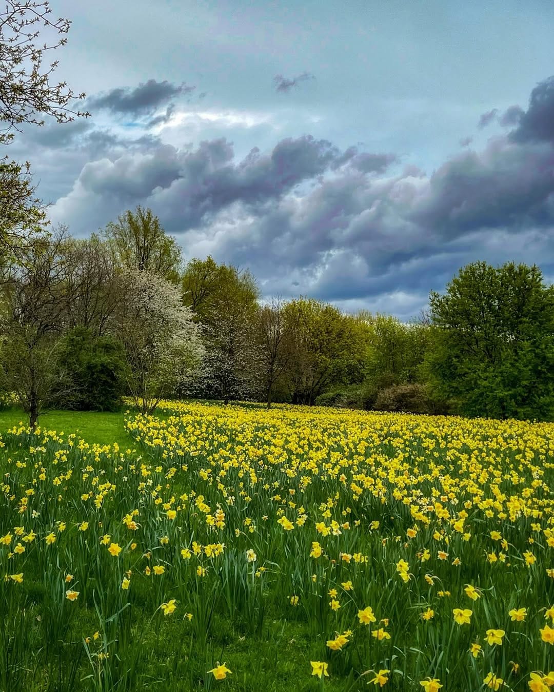 Post 10 by Rolf on Instagram (image)