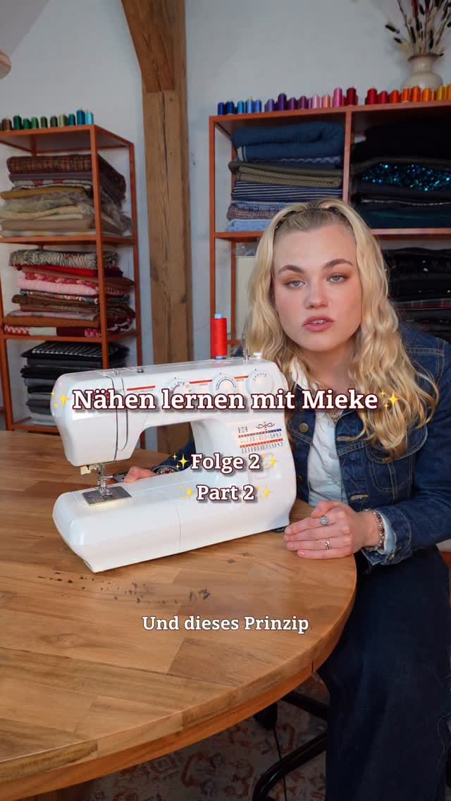 Post 8 by Mieke Fraatz on Instagram (video)
