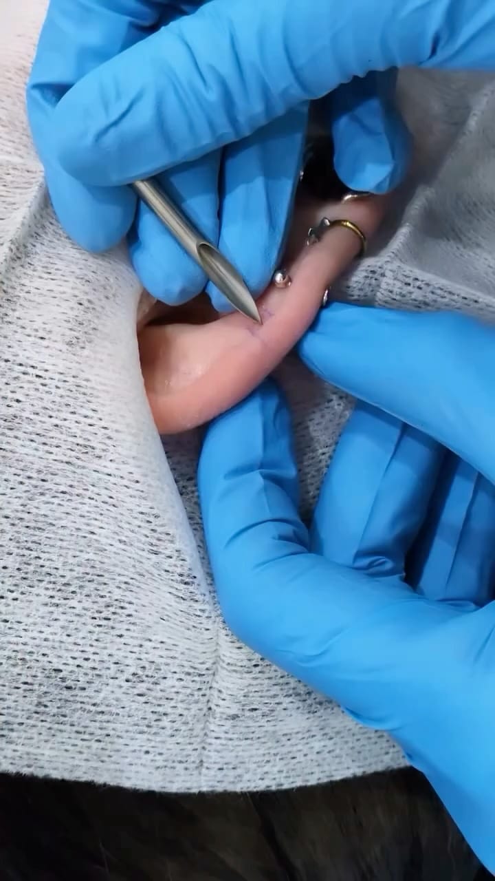 Post 4 by ProBodyArt.com on Instagram (video)