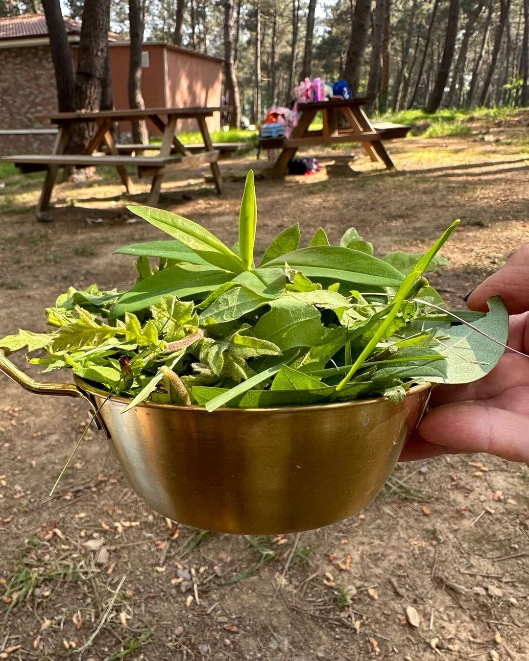 Post 3 by Doğada Keşfeden Oyun Öğrenme Seansları on Instagram (image)