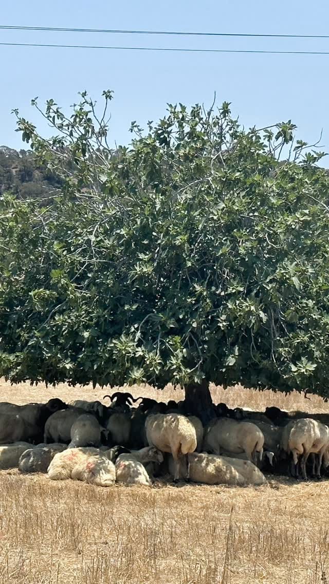 Post 9 by Doğada Keşfeden Oyun Öğrenme Seansları on Instagram (video)