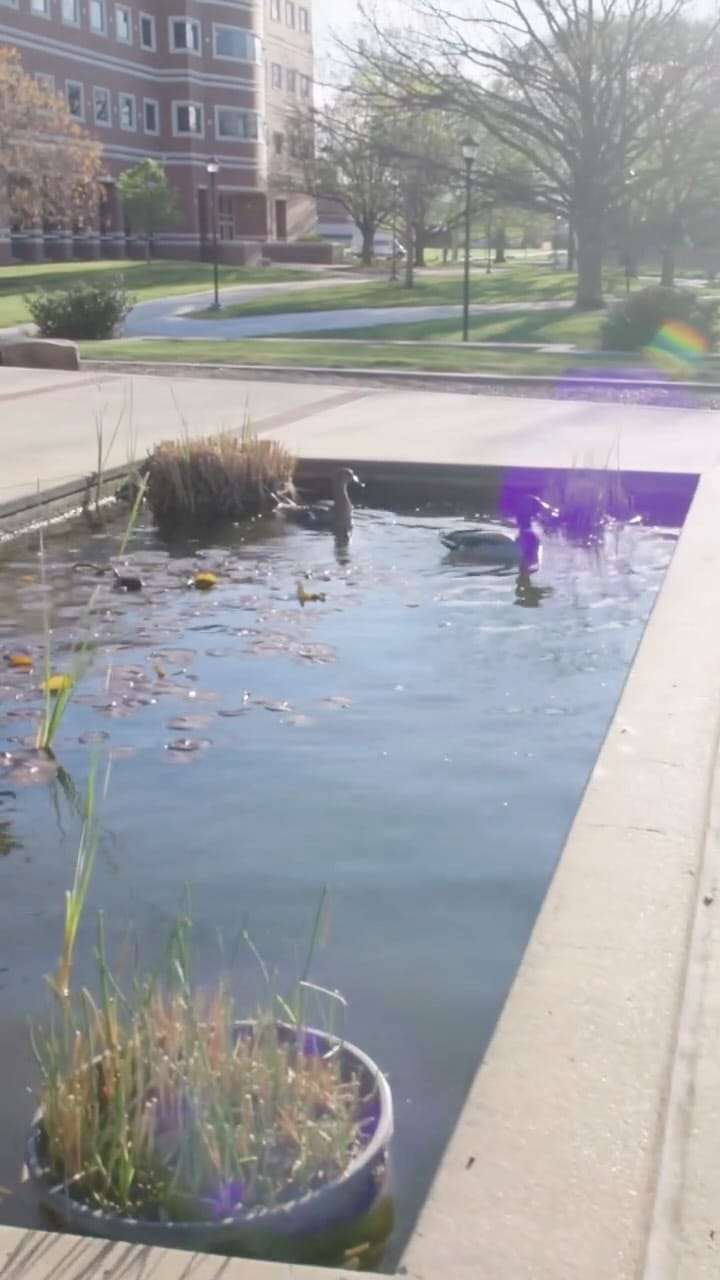 Post 4 by Wichita State University on Instagram (video)