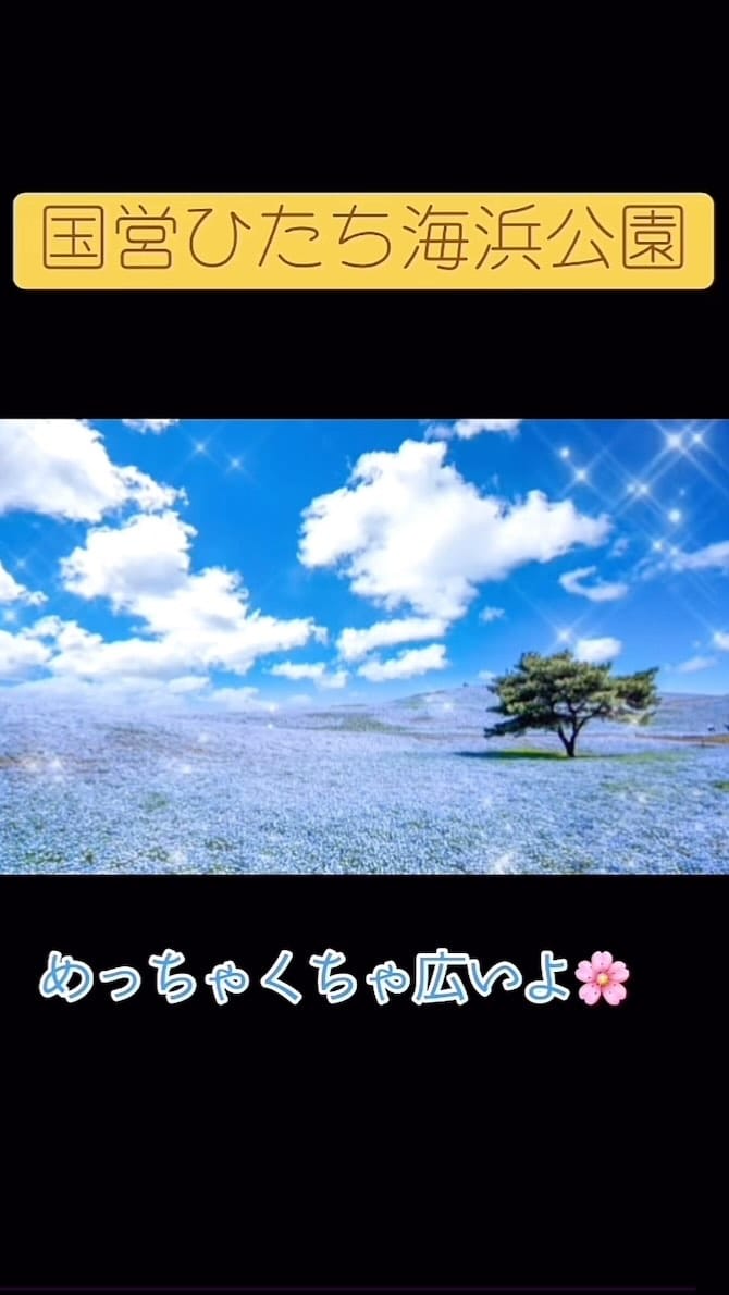 Post 9 by 朝浦茜 on Instagram (video)