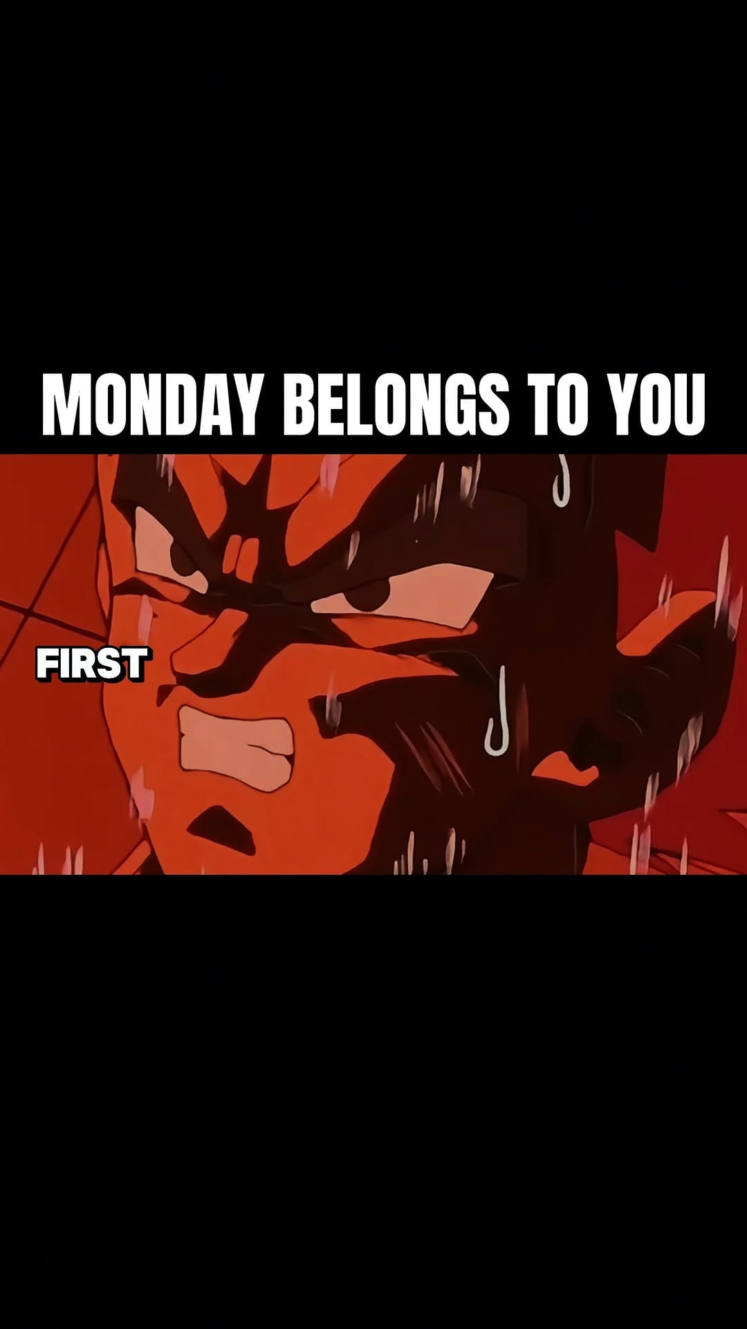 Post 3 by Prince Vegeta Motivation on Instagram (video)